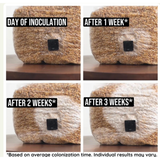Organic Sterilized Grain Bag with Injection Port