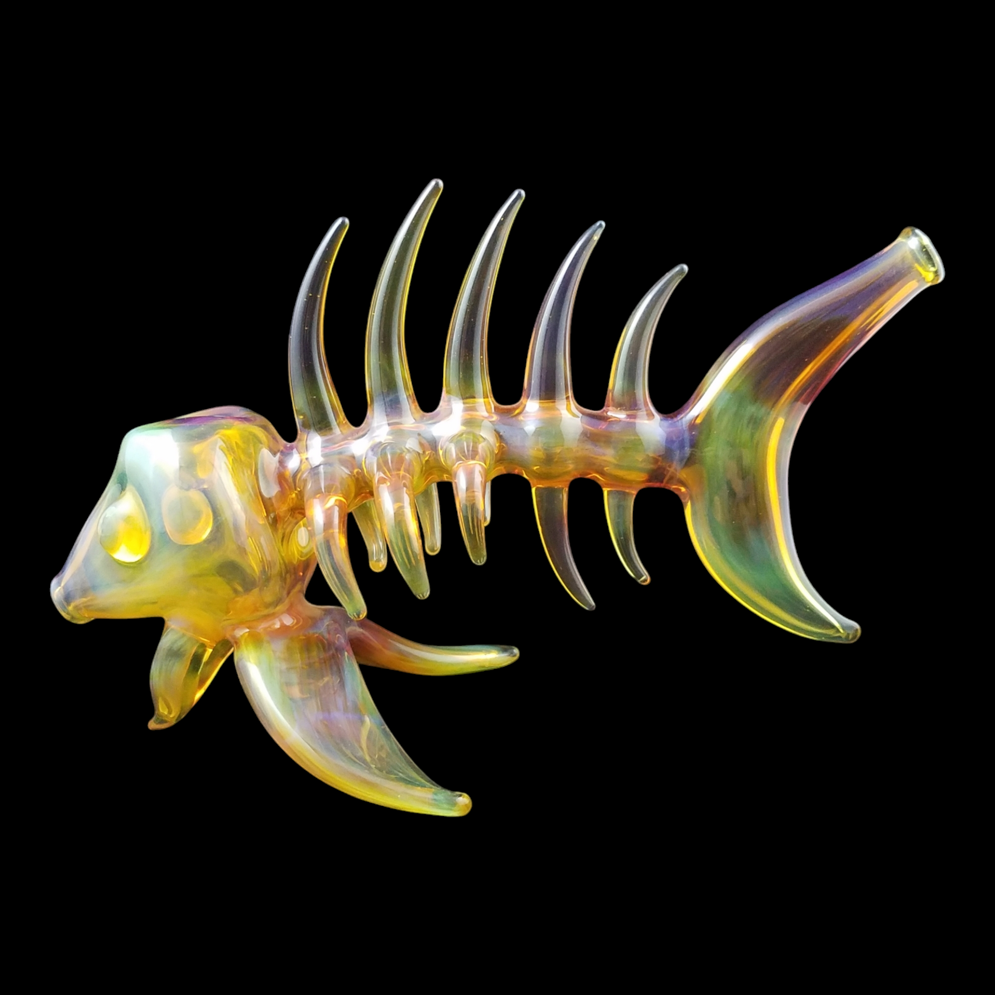 Buck Glass Fish view 10
