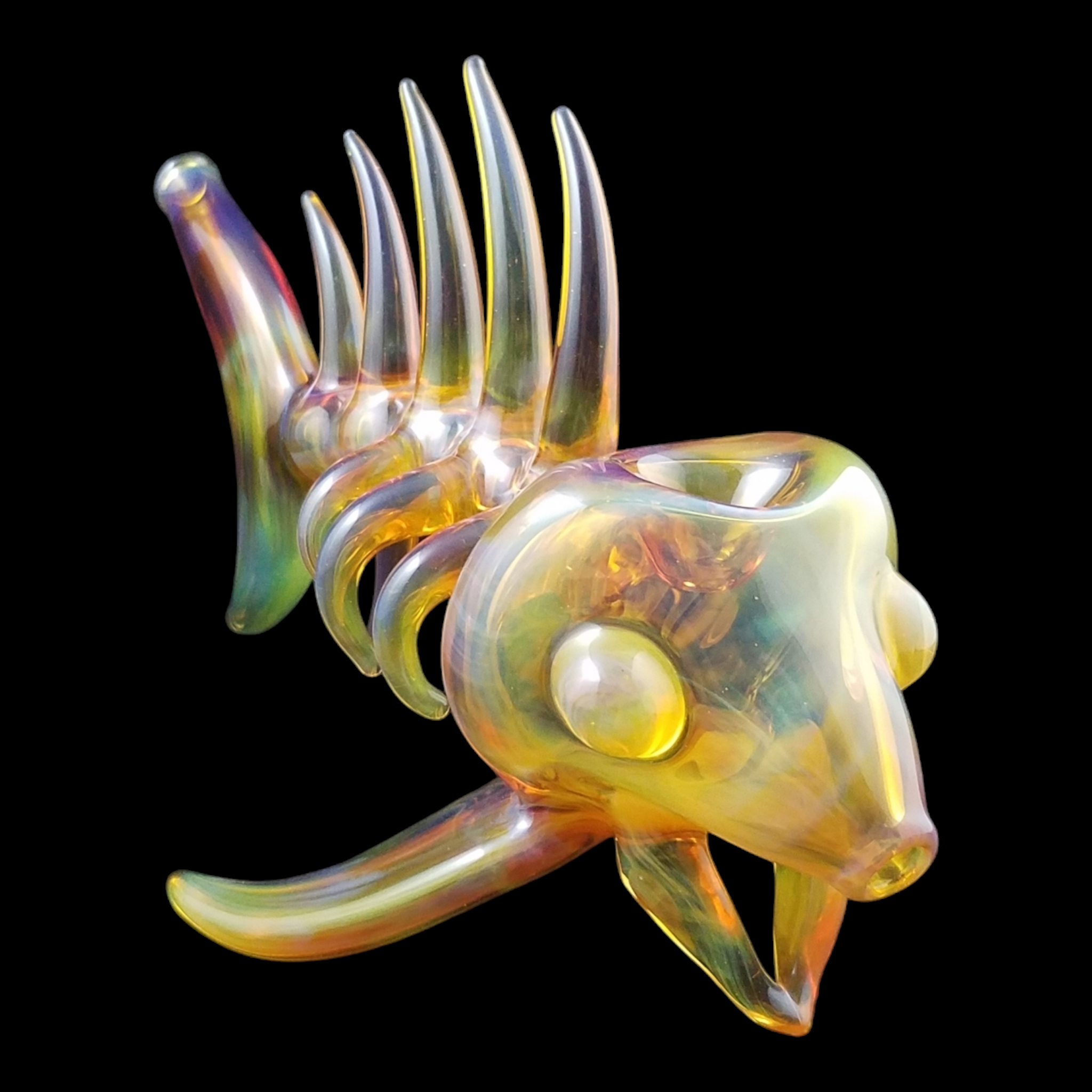 Buck Glass Fish view 4