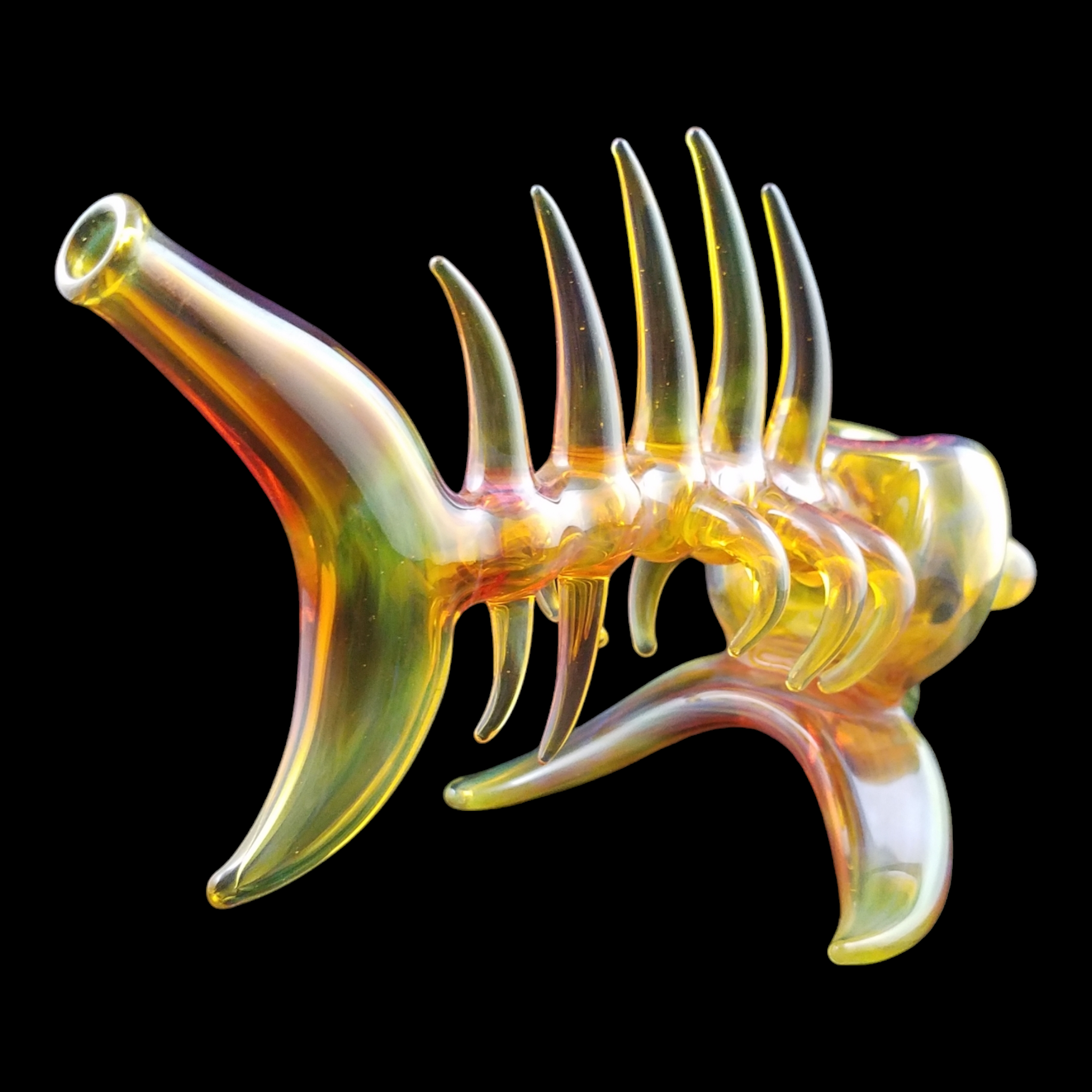 Buck Glass Fish view 8